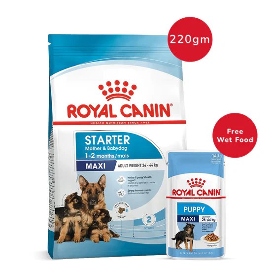 Royal Canin Maxi Starter Dry Food 220g + Maxi Puppy Wet Pouch 140g