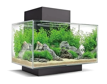 Aquarium Tank 1*4 Feet